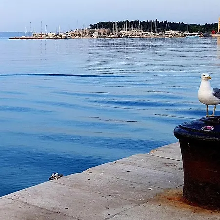 Apartment Tales Of Split - 100 Meters From The Seafront